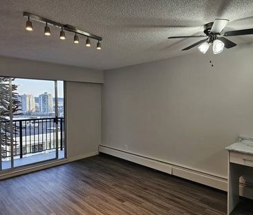 STUDIO in New West - RENOVATED, TOP floor, from March 1st - Photo 2