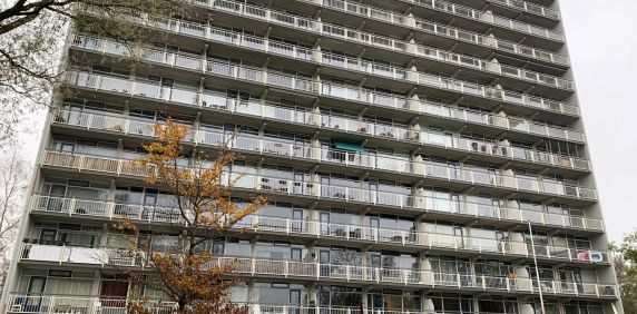 Appartement Anjenplein 84, Leeuwarden - À Louer - Photo 2