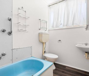 BRAND NEW KITCHEN - FRESHLY PAINTED THROUGHOUT - BRAND NEW CARPETS - Photo 4