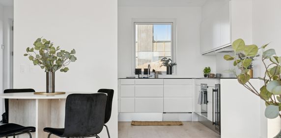 Kregmehusene - Photo 2