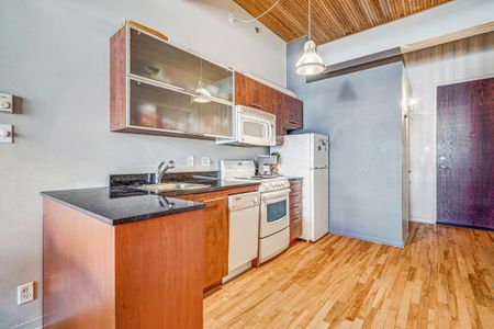 6820 Rue Saint-Urbain, #106 - Photo 4