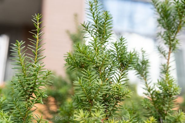 707 Lofts , #107 - Photo 1