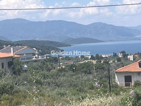 Διαμέρισμα για ενοικίαση Θεολόγος (Μαλεσίνα) - Photo 4