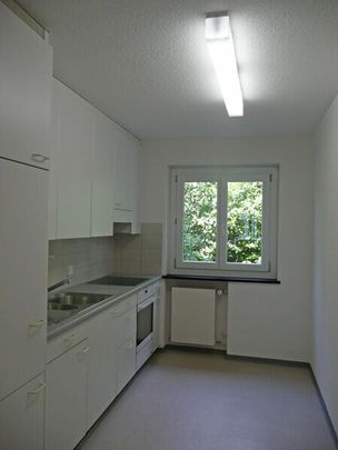 Apartment near the center of Zurich-Witikon - Photo 1