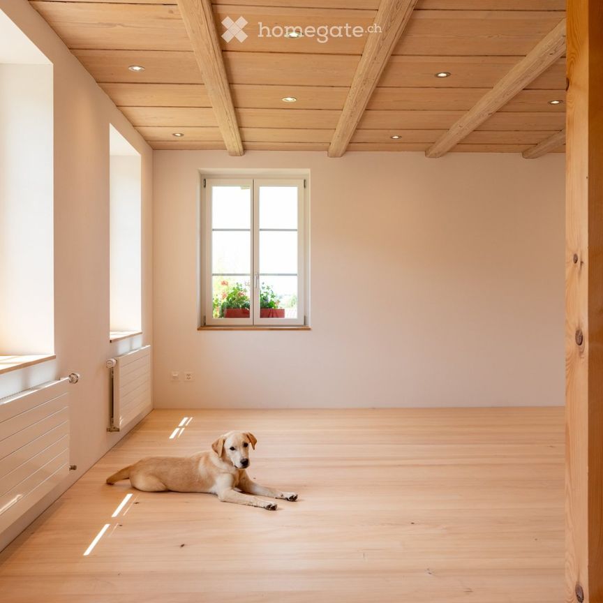 Neue moderne 2.5 Zi. Wohnung mit Charme in Bauernhaus im EG - Photo 1