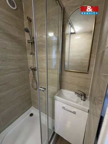 Pronájem bytu 1+kk, 32 m - Fotografie 5