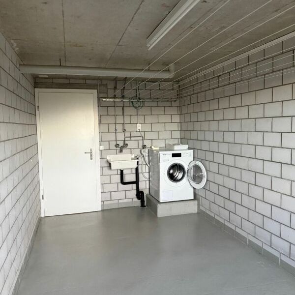 Attraktive 4.5-Zimmer-Gartenwohnung in Oberbipp zu vermieten (1x TG-Einstellplatz inklusive!) - Foto 1