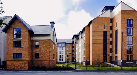 Classic Studio - Photo 3