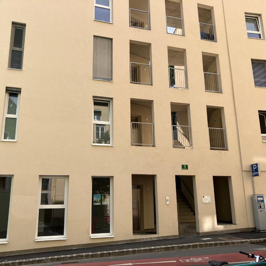 Stadthaus - Metahofgasse 5; 3 Zimmer Wohnung mit Terrasse TOP 1, [GF,MHG] - Foto 1