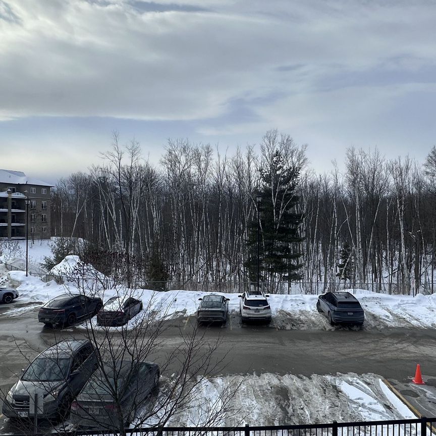 For Lease - 40 Ferndale Drive Unit# 207, Barrie, Ontario - Photo 1