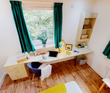 Gold Studio Plus - Photo 1