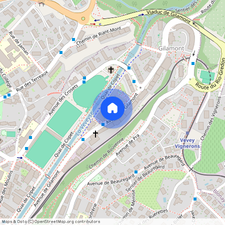 Avenue de Gilamont 17 - C, 1800 Vevey