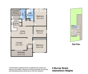 5 Murray Street, Adamstown Heights NSW 2289 - Photo 6