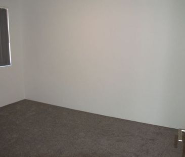 Massive! Huge! Renovated! - Photo 6