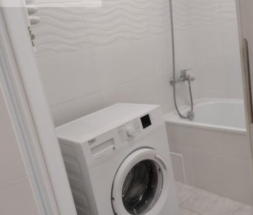 Warszawa, Śródmieście, Nowolipki - Zdjęcie 6