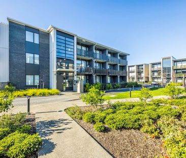 213/20 Mason Ave, Otahuhu - Photo 2