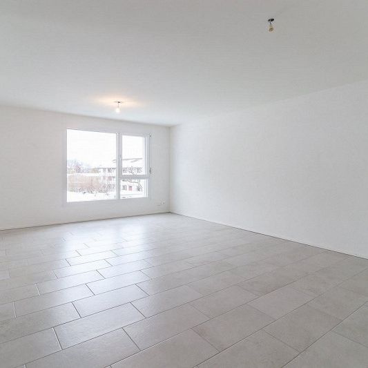 Charmant appartement de 2.5 pièces à louer à la campagne - Photo 1