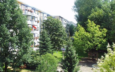 Weitblick 46 - Foto 2