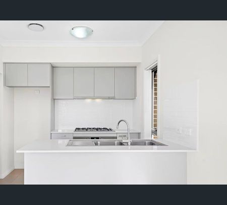 161 Wainwright Drive, Cobbitty, NSW 2570 - Photo 4
