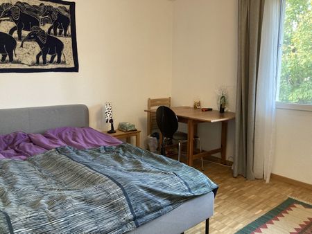 APPARTEMENT DE 2 PIÈCES À STEIN (AG), MEUBLÉ, TEMPORAIRE - Photo 2