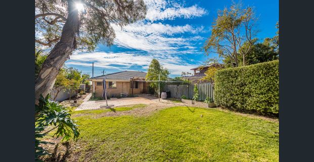 RENOVATED BEAUTY IN CENTRAL LOCATION! - Photo 1