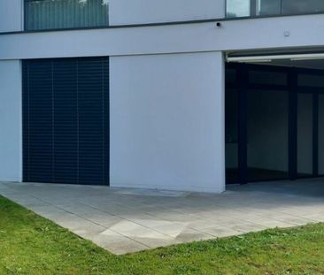 Attraktive 3.5 Zimmer Erdgeschosswohnung - Foto 5