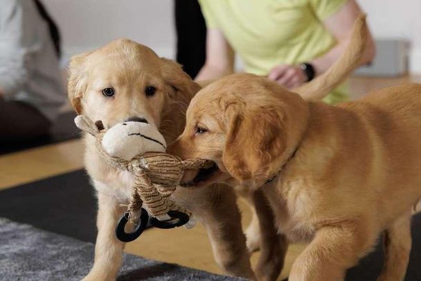 Harrison Building, Stratford, E20 - Photo 1