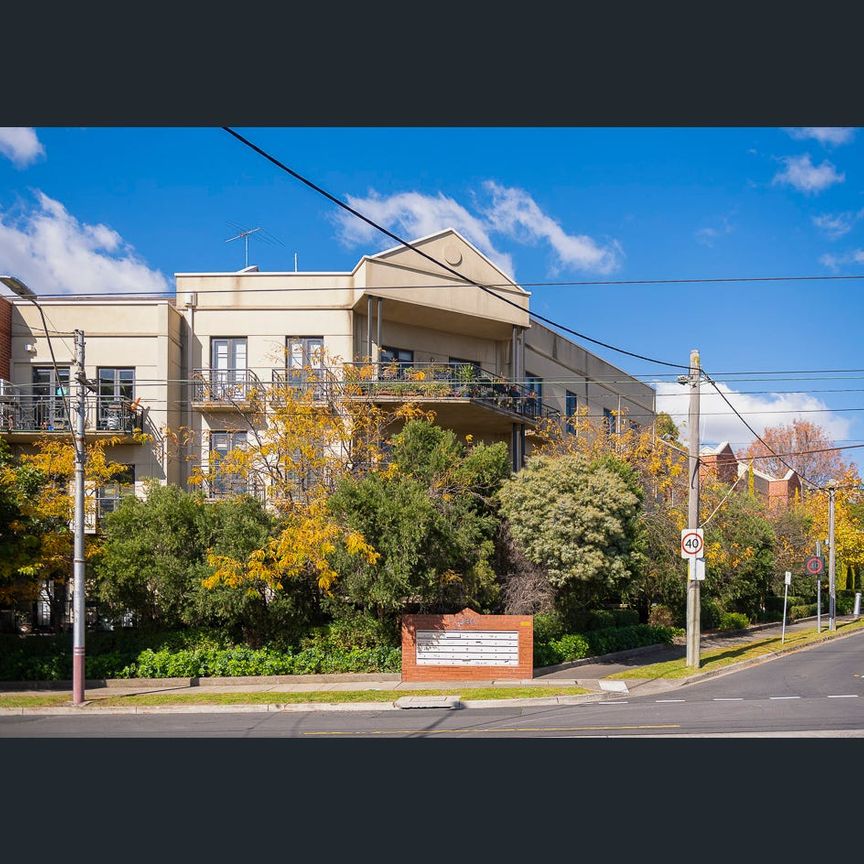 Two Bedroom Apartment in Great Location - Photo 1