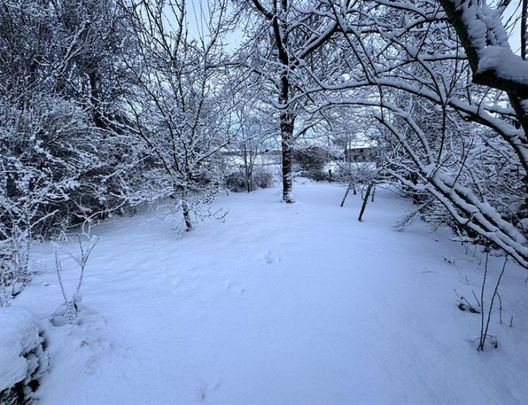 Woodbine Cottage, Wormhill - Photo 1