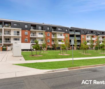 49/16 Bradfield Place, Downer ACT 2602 - Apartment For Rent | Domain - Photo 1
