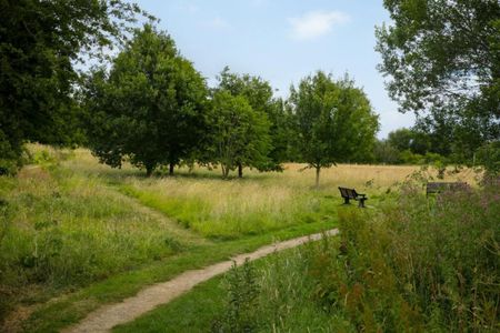 Mill Lane, Ampleforth, York - Photo 4