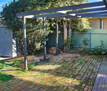 Stunning Home - Hospital Precinct - Photo 5