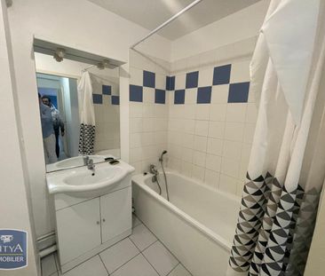 Location Appartement 2 pièces 55m² AVOINE 37420 - Photo 2