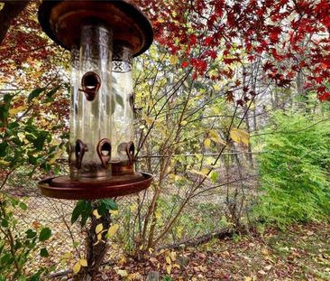 For Lease - 2458 NEWPORT Street Unit# Lower, Burlington, Ontario - Photo 1