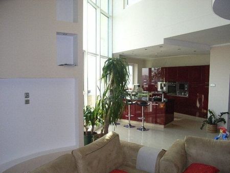 3 POZIOMY UNIKLANY OGRÓD NA DACHU 185 m² - Photo 2