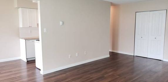 Seafair / Steveston Apartment for Rent - Photo 2