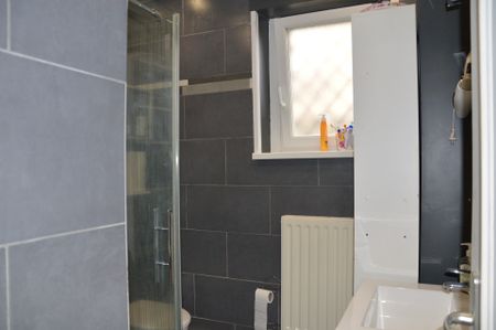 Location Appartement 3 pièces 98m² ALTKIRCH 68130 - Photo 5