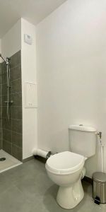 Location Appartement 1 pièce 23m² BROU SUR CHANTEREINE 77177 - Photo 3