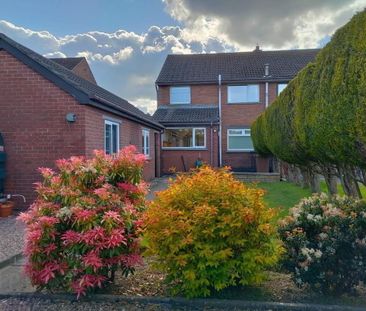 6 Dalton Park, Comber, BT23 5HD - Photo 6