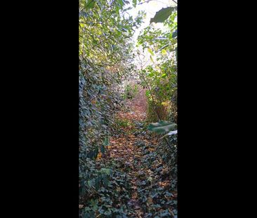 Room in a Shared House, Gantshill, IG2 - Photo 4