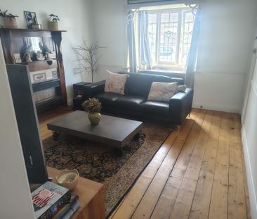 Kingsville - Photo 3