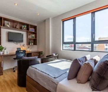 Extra Large Studio - Photo 6