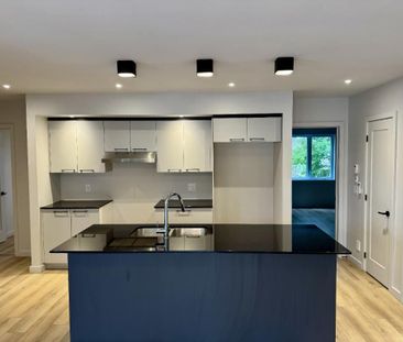 Août gratuit! Spacieux 5 1/2 à louer rue Seyval (plateau McCrea) Sh... - Photo 1