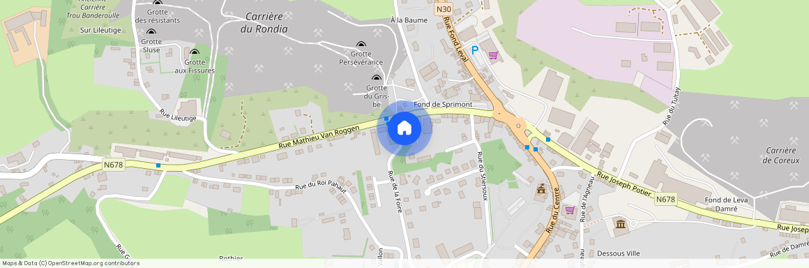 Rue de la Foire, 12, A4, 4140, Sprimont