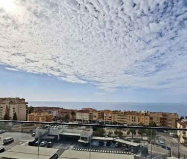 Algarrobo - Photo 3