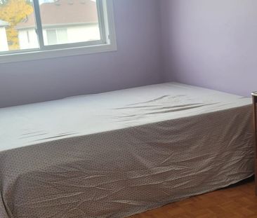 For Lease - 22 Oatfield Road, Brampton, Ontario - Photo 3