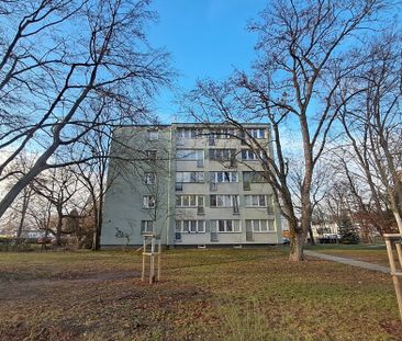 Kawalerka przy Lotnisku Chopina KOR34b - Фото 4