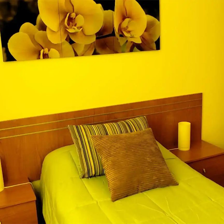 Alberite - Photo 1