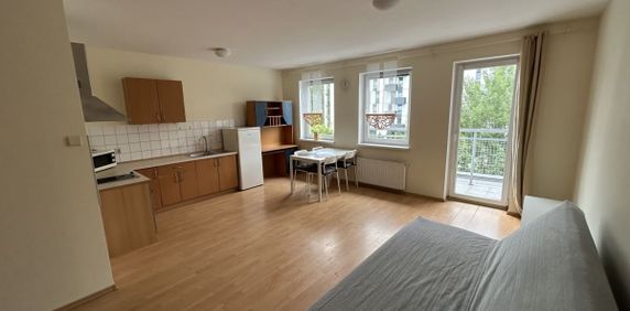 Kawalerka na wynajem, Poznań - Jeżyce 33.4 m² - Фото 2