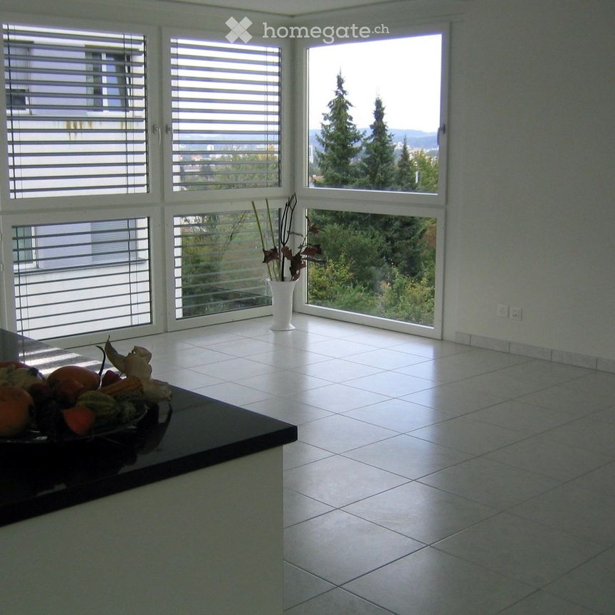 Moderne, helle 3.5-Zimmerwohnung unweit vom Irchelpark - Foto 1